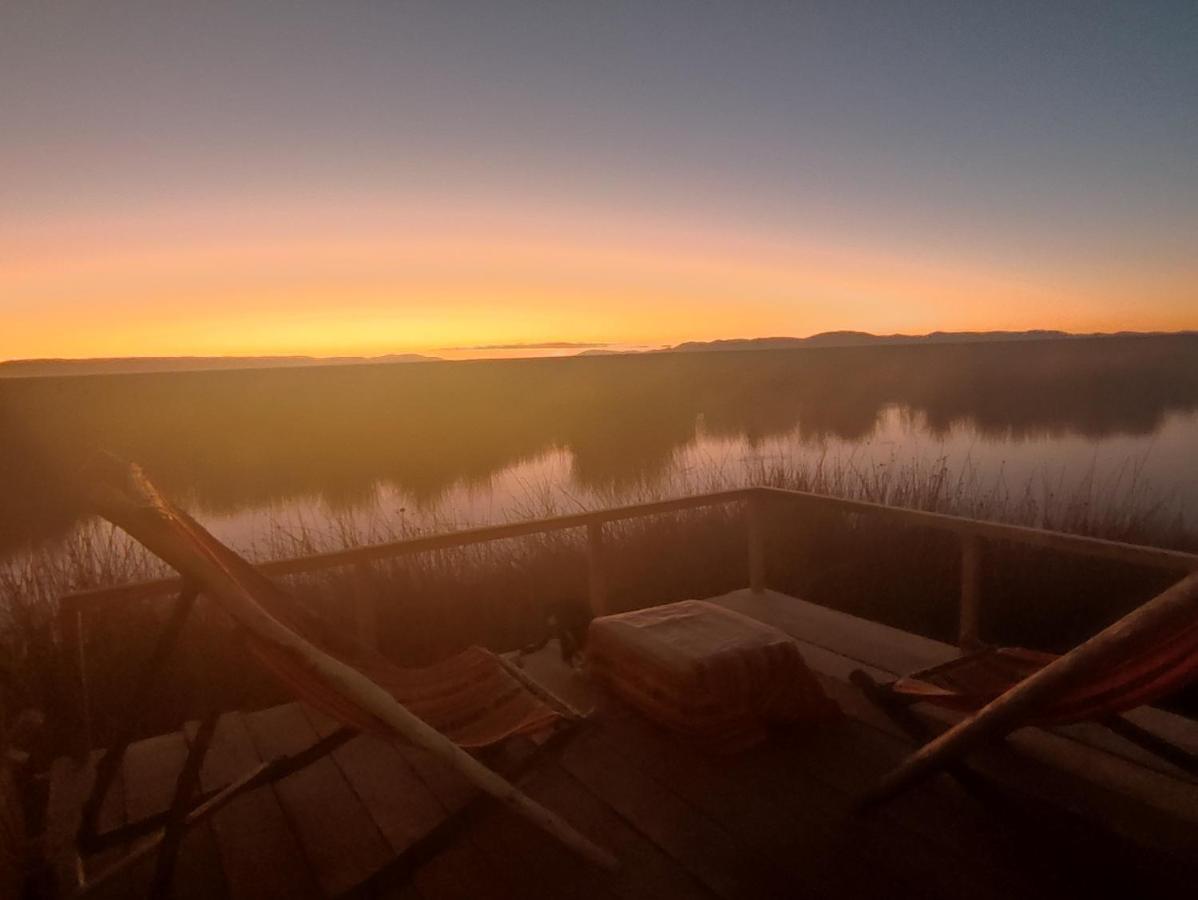 Titicaca Jaltawi * Puno